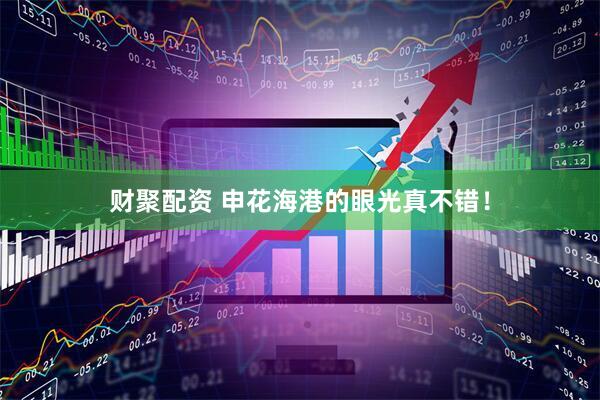 财聚配资 申花海港的眼光真不错！