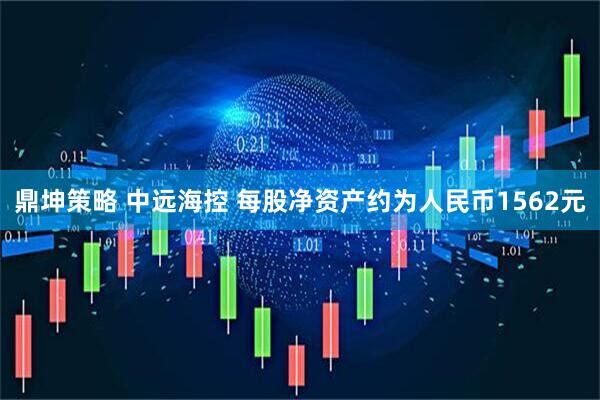 鼎坤策略 中远海控 每股净资产约为人民币1562元