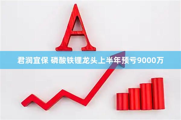 君润宜保 磷酸铁锂龙头上半年预亏9000万