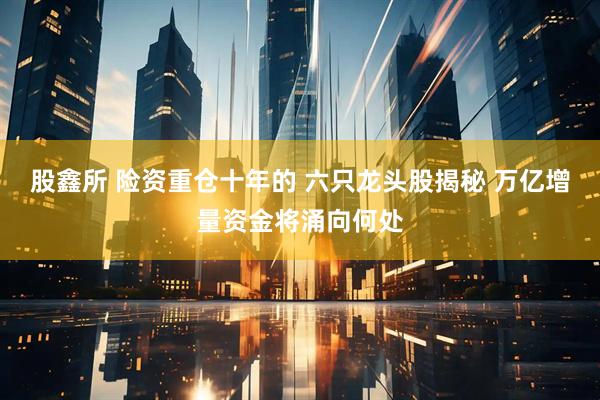 股鑫所 险资重仓十年的 六只龙头股揭秘 万亿增量资金将涌向何处